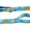 Adventure Time "Best Bros!" 5' Pet Leash