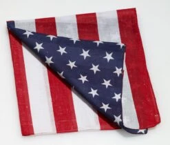 Forum Novelties Patriotic Costume Bandana