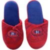 Montreal Canadiens NHL Men's Raised 3D Team Logo Slippers - Medium