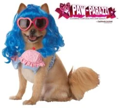 Paw Parazzi California Girl Dog Pet Costume